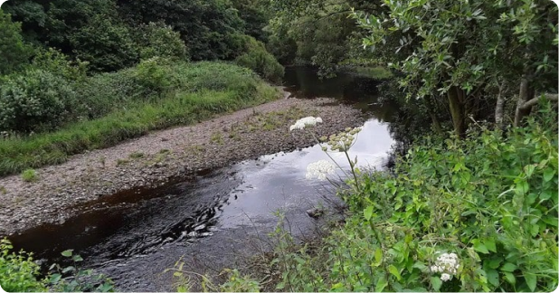 wild swimming River Irthing Cumbria