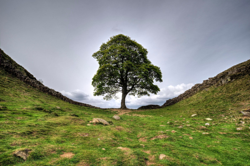 hadrian's wall walk accommodation