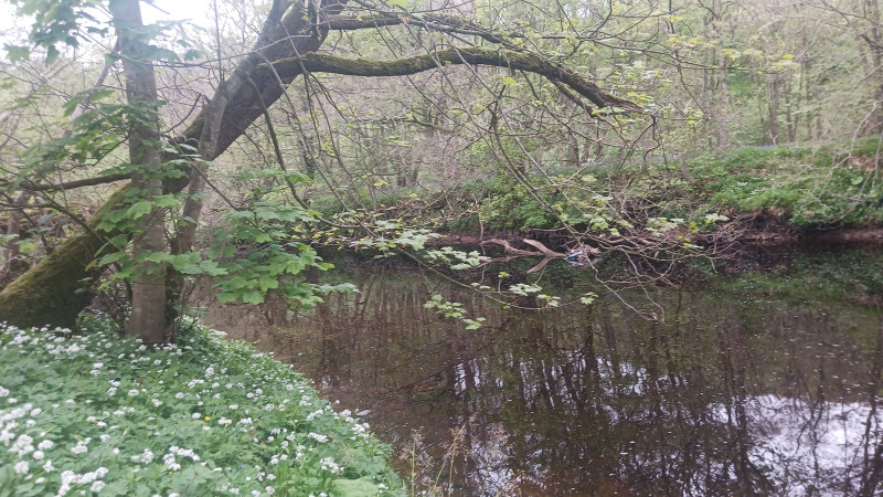 river ithering veiws