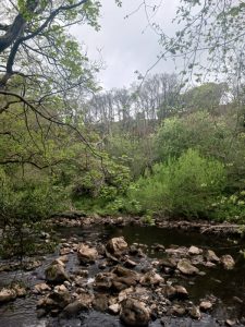 river ithering veiw
